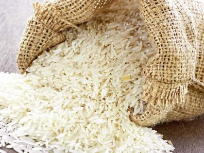 Russia-Ukraine war hits non-basmati rice exports in vidarbha | Russia-Ukraine War : रशिया-युक्रेन युद्धाचा विदर्भातील तांदूळ निर्यातीला फटका