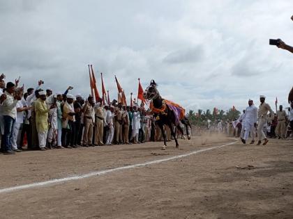 sant tukaram palkhi sohla first equestrian crossing at Belwadi video baramati | VIDEO | 'अश्व धावता रिंगणी, नाचे विठू काळजात'; बेलवाडीत पार पडले पहिले अश्वरिंगण