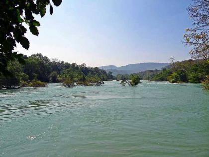 Rivers swell in Palghar, torrential rain continues today, danger will increase if water from the dam is released | पालघरमध्ये नद्या फुगल्या, आजही मुसळधार सुरुच, धरणातील पाण्यातून विसर्ग झाल्यास धाेका वाढणार Rivers swell in Palghar, torrential rain continues today, danger will increase if water from the dam is released | पालघरमध्ये नद्या फुगल्या, आजही मुसळधार सुरुच, धरणातील पाण्यातून विसर्ग झाल्यास धाेका वाढणार