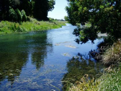 Flow of rivers is very essential | नद्यांचे प्रवाही राहणे अत्यंत आवश्यक