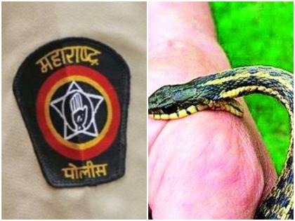 Snake bite on female police officer; Fear of snakes in the police | महिला पोलीस अंमलदाराला सर्पदंश; पोलिसांमध्ये सापाची भीती