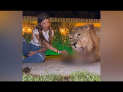 Woman eating with lion from the same plate watch viral video | बोंबला! सिंहासोबत एकाच ताटात जेवण करताना दिसली तरूणी, व्हिडीओ व्हायरल