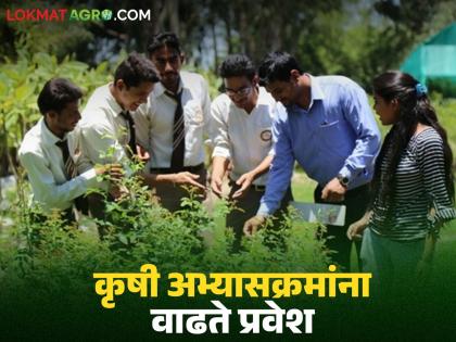 Latest News Agriculture Courses Many career opportunities are available after agriculture course | कृषी क्षेत्रातील करिअर संधी, मागील काही वर्षात कृषी अभ्यासक्रमांना प्रवेश वाढले Latest News Agriculture Courses Many career opportunities are available after agriculture course | कृषी क्षेत्रातील करिअर संधी, मागील काही वर्षात कृषी अभ्यासक्रमांना प्रवेश वाढले