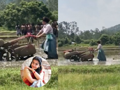 National Crush Rashmika Mandana seen plowing in the field, plowing video gets likes | नॅशनल क्रश रश्मिका मंदाना दिसली शेतात घाम गाळताना, नांगर चालवतानाच्या व्हिडीओला मिळतेय पसंती