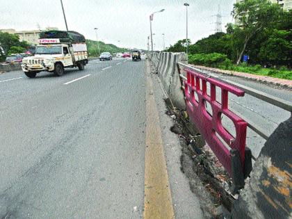 A fox dies in a collision with a vehicle, wildlife lovers warn of agitation | वाहनाच्या धडकेत कोल्ह्याचा मृत्यू, वन्यजीवप्रेमींचा आंदोलनाचा इशारा