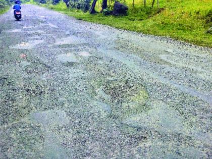 Waiting for the work of Salav-Murud road | साळाव-मुरुड रस्त्याच्या कामाला मुहूर्ताची प्रतीक्षा