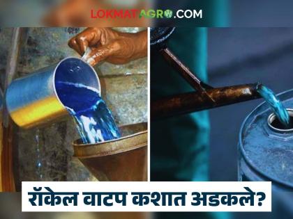 Big problems in getting kerosene on ration card; Why won't it be distributed now? Read in detail | रेशनकार्डवर रॉकेल मिळण्यास मोठ्या अडचणी; आता वाटप होणार का नाही? वाचा सविस्तर Big problems in getting kerosene on ration card; Why won't it be distributed now? Read in detail | रेशनकार्डवर रॉकेल मिळण्यास मोठ्या अडचणी; आता वाटप होणार का नाही? वाचा सविस्तर