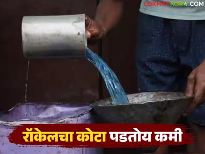District-wise kerosene quota is decreasing; now kerosene will be available only on 'Ya' ration card | जिल्हानिहाय रॉकेलचा कोटा पडतोय कमी; आता फक्त 'या' रेशनकार्डवरच मिळणार रॉकेल District-wise kerosene quota is decreasing; now kerosene will be available only on 'Ya' ration card | जिल्हानिहाय रॉकेलचा कोटा पडतोय कमी; आता फक्त 'या' रेशनकार्डवरच मिळणार रॉकेल