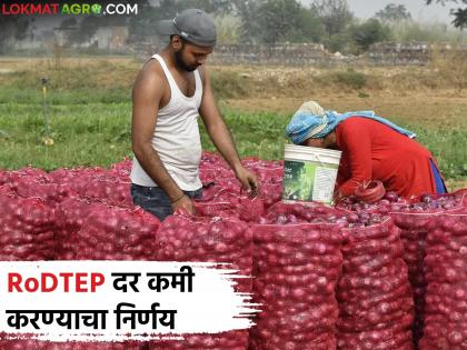 Latest News onion Farmers Central government's decision to reduce RoDTEP rates by 50 percent | RoDTEP दर 50 टक्क्यांनी कमी करण्याचा केंद्र सरकारचा निर्णय, शेतकरी संघटना आक्रमक Latest News onion Farmers Central government's decision to reduce RoDTEP rates by 50 percent | RoDTEP दर 50 टक्क्यांनी कमी करण्याचा केंद्र सरकारचा निर्णय, शेतकरी संघटना आक्रमक