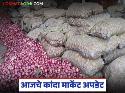 Latest News lal kanda Market todays Onion Market Prices in maharashtra | Kanda Market : राज्यात तीन लाख क्विंटल तर 'या' जिल्ह्यात एक लाख क्विंटल कांदा आवक, वाचा सविस्तर Latest News lal kanda Market todays Onion Market Prices in maharashtra | Kanda Market : राज्यात तीन लाख क्विंटल तर 'या' जिल्ह्यात एक लाख क्विंटल कांदा आवक, वाचा सविस्तर