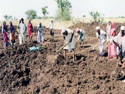 Employment Guarantee, No Paid Guarantee! | रोजगार हमी, नाही पगाराची हमी!