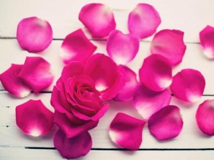 How to use rose petals to lose weight fast | गुलाबाच्या पाकळ्यांनी करा वजन कमी, असा करा वापर