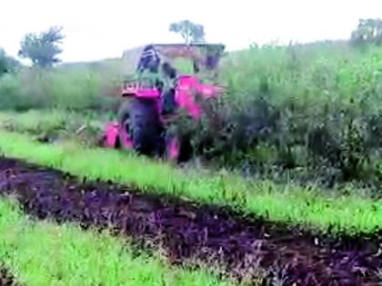 A farmer rotates a rotor on a five-acre pomegranate that has been destroyed by oil | तेल्याने उद्ध्वस्त झालेल्या पाच एकर डाळिंबावर शेतकºयाने फिरविला रोटर