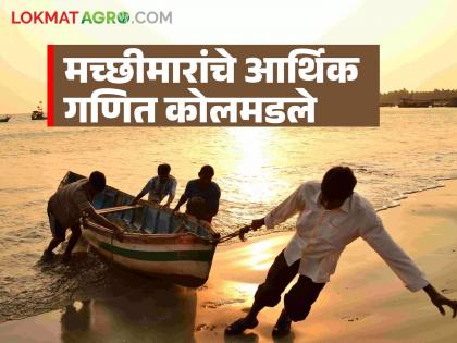 Weather hits fishing; Fishermen's financial calculations have collapsed this year | हवामानाचा मासेमारीला फटका; मच्छीमारांचे यंदा आर्थिक गणित कोलमडले Weather hits fishing; Fishermen's financial calculations have collapsed this year | हवामानाचा मासेमारीला फटका; मच्छीमारांचे यंदा आर्थिक गणित कोलमडले