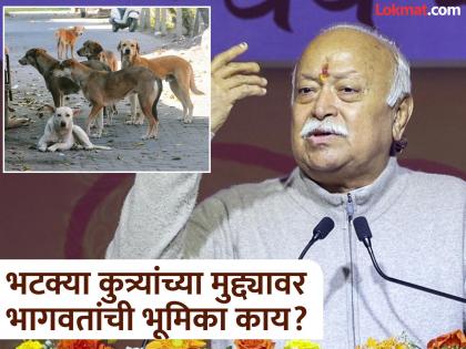 "Keeping stray dogs in shelter homes will not solve the problem, so..."; What alternative did RSS chief Bhagwat suggest? | "भटक्या कुत्र्यांना शेल्टर होममध्ये ठेवल्याने प्रश्न सुटणार नाही, तर..."; सरसंघचालक भागवतांनी काय सुचवला पर्याय?
