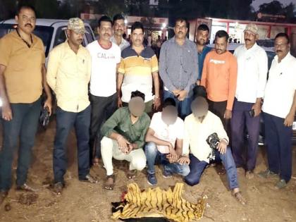 Tiger skin smuggling in Chiplun, three arrested | Ratnagiri Crime: वाघाच्या कातड्याची तस्करी, चिपळुणात तिघे ताब्यात