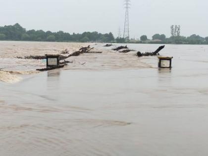 Flood situation in Gadchiroli, Chandrapur; Many villages lost contact | कोल्हा'पूर'नंतर चंद्र'पूर', गडचिरोलीतही पाणीच पाणी; अनेक गावांचा संपर्क तुटला