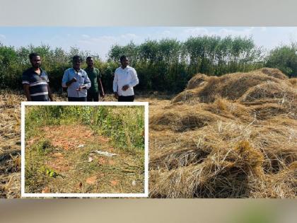 Wild elephants trampled the paddy crop, causing great loss to the farmers in gadchiroli tehsil | हत्तींनी स्वप्न हिरावले; भरपाईसाठी अटी, शर्थींची 'मेख'