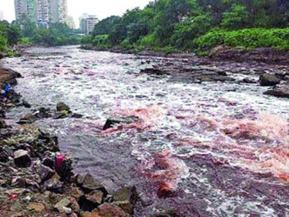 World River Day Special, River Health Care in Thane District | जागतिक नदी दिनविशेष, ठाणे जिल्ह्यातील नद्यांच्या आरोग्याची हेळसांड