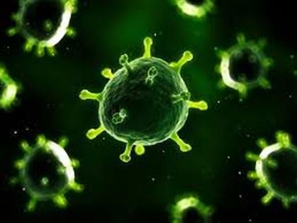 Another patient declared corona positive in Yavatmal district | coronavirus; यवतमाळ जिल्ह्यात अजून एक रुग्ण कोरोनाबाधित घोषित