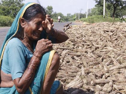 It sounds good to die, but to die, farmer crying after unseasonable rain in beed | 'असं वाटतं मरु तर बरं, पण मरायची नाय...' धाय मोकलून रडली शेतकऱ्याची माय