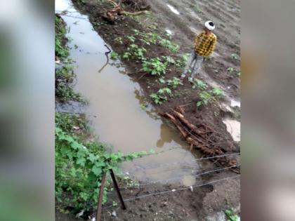 Six Mandals hit by heavy rains in Amravati District; Lands were scrapped, dams burst | सहा मंडळाला अतिवृष्टीचा तडाखा; जमिनी खरडल्या, बांध फुटले