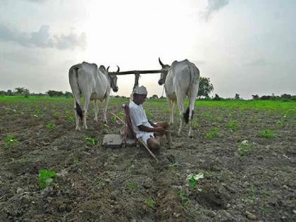 Farmer suicide: Cluster to be found through survey; Information of Divisional Commissioner | शेतकरी आत्महत्या; सर्व्हेद्वारे शोधणार क्लस्टर, विभागीय आयुक्तांची माहिती