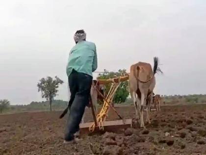 only 88 mm rain, Sowing on 4 lakh 25 thousand hectares was stopped in chandrapur district | केवळ 88 मिमी पाऊस, जिल्ह्यात ४ लाख २५ हजार हेक्टरवरील पेरण्या रखडल्या