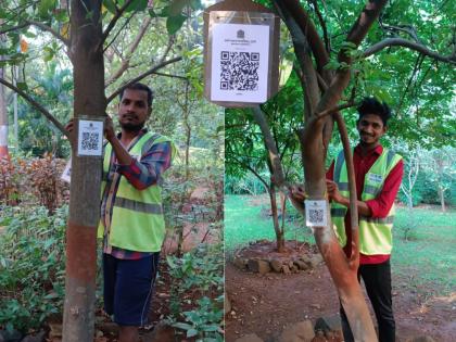 Scan the QR code and get tree information; Municipal experiment in Thane | QR कोड स्कॅन करा आणि मिळवा वृक्षाची माहिती; ठाण्यात महापालिकेचा प्रयोग