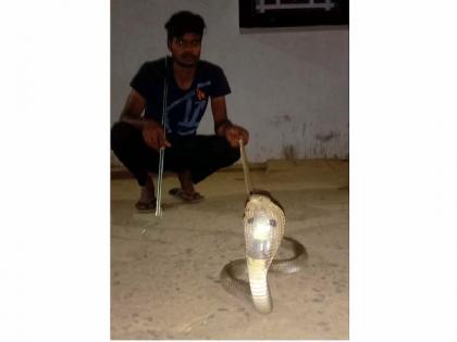 venomous snake suddenly appeared in front of a man | त्याला पाहताच विषारी सापाने काढला फणा, तरुणाची उडाली घाबरगुंडी