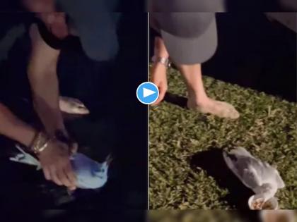 Indian Batting Legend Sachin Tendulkar Saves Injured Bird at a Beach and Netizens Are Loving the Viral Video | Sachin Tendulkar Saves Bird Life : सचिन तेंडुलकरने वाचवले जखमी पक्ष्याचे प्राण; नेटिझन्सना आवडला Viral Video