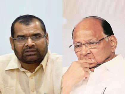 sadabhau khot criticised ncp chief sharad pawar over his statement | “राष्ट्रवादी पक्ष नाही तर अलिबाबा, चाळीस चोरांची टोळी”; सदाभाऊ खोतांची बोचरी टीका