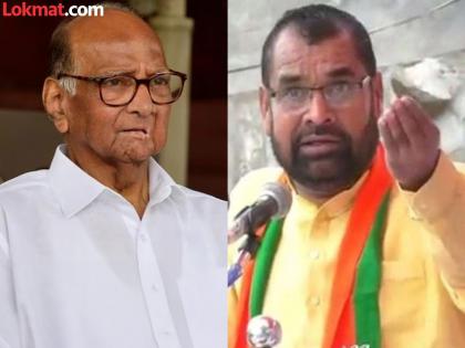 Maharashtra assembly vidhan sabha election 2024 Offensive language about ncp Sharad Pawar An apology from Sadabhau after criticism | शरद पवारांबाबत आक्षेपार्ह भाषा; टीकेची झोड उठल्यानंतर सदाभाऊंकडून दिलगिरी, म्हणाले...