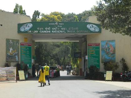 A large amount of debris is dumped in the Sanjay Gandhi National Park! | संजय गांधी राष्ट्रीय उद्यानात टाकले जाते मोठ्या प्रमाणात डेब्रिज!