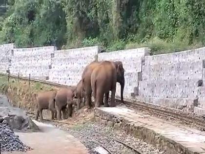 Elephant route became a block, a heart touching step taken by the Ministry of Railways; You will appreciate | हत्तींचा मार्ग झाला Block, रेल्वे मंत्रालयानं उचललं ह्दयस्पर्शी पाऊल; तुम्हीही कराल कौतुक