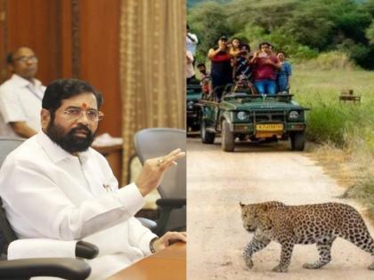 eknath shinde govt took baramati leopard safari to Junnar | शिंदे सरकारने बारामतीची बिबट सफारी नेली जुन्नरला...!