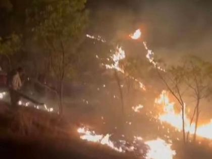 बीडच्या ‘सह्याद्री देवराई’ला भीषण आग; अभिनेते सयाजी शिंदे यांनी जोपासलेली हजारो झाडे संकटात