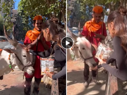 Actress Sai Tamhankar's Hatke Sankranti, Feeds Sesame Ladoo to a Street Cow, Video Viral | अभिनेत्री‌‌ सई ताम्हणकरची हटके संक्रांत, रस्त्यावरील गायीला भरवले तीळाचे लाडू, Video व्हायरल