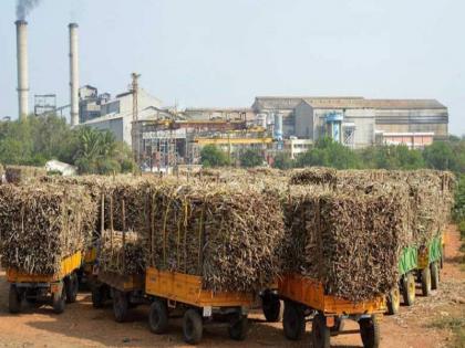 Notices to sugar mills for defrauding farmers; Action of Sugar Commissioner | शेतकऱ्यांचे पैसे थकवल्याप्रकरणी साखर कारखान्यांना नोटिसा; साखर आयुक्तांची कारवाई