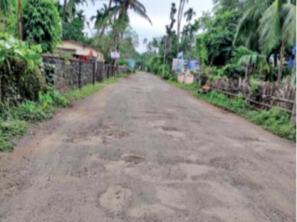 Work on Salav-Agardanda road started soon | साळाव-आगरदांडा रस्त्याच्या कामाला लवकरच सुरुवात