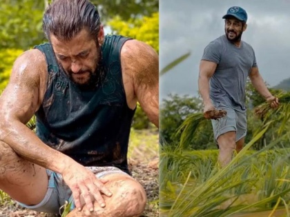 Away from Bollywood, Salman Khan is currently sweating in the field, the video caught everyone's attention | बॉलिवूडपासून दूर सलमान खान सध्या शेतात गाळतोय घाम, व्हिडिओने वेधले सर्वांचे लक्ष