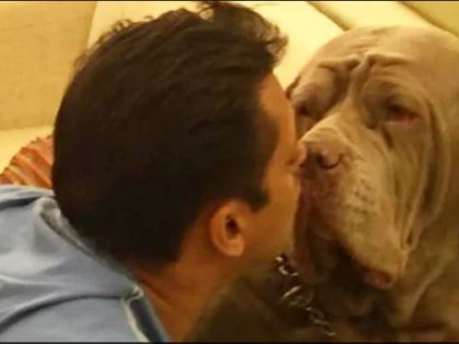 salaman khan has lost his dog today | सलमान खानच्या 'माय लव'ने घेतला जगाचा निरोप