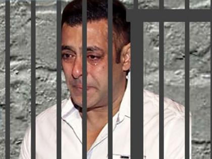 Blackbuck poaching case verdict: Salman Khan sentenced to five years in prison | 'टायगर जेल में है'... सलमान खानला पाच वर्षांची शिक्षा, जेलमधील मुक्काम पक्का 