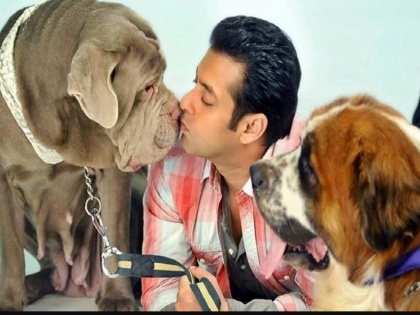Salman Khan's unconditional love for his pets | सलमान खानच्या आयुष्यात यांना आहे सगळ्यात जास्त महत्त्व