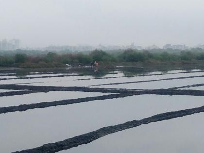 If you want to save Mumbai metropolis, you need salt pans! | मुंबई महानगर वाचवायचे असेल तर मिठागरे हवीतच!