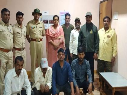 Sambar hunt in tisangi gaganbavada kolhapur district, four arrested; One spreads | Kolhapur: तिसंगीत सांबराची शिकार,  चौघे ताब्यात; एकजण पसार