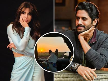 Samantha Ruth Prabhu and Naga Chaitanya reunited? Got the hint from the actor's post | समांथा रुथ प्रभू आणि नागा चैतन्य पुन्हा आले एकत्र? अभिनेत्याच्या पोस्टमधून मिळाली हिंट