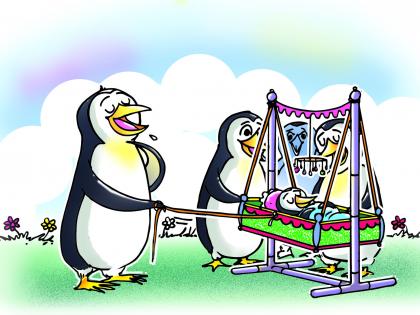 Cradle the baby penguin lightly !... | हलके-हलके जोजवा बाळ पेंग्विनचा पाळणा...