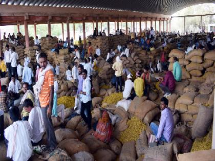 Hingoli hinges of turmeric vehicles | हळदीच्या वाहनांच्या हिंगोली मोंढ्यात रांगा