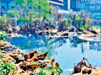 Water sources polluted by sewage; Tarapur residents drink purchased water | सांडपाण्याने जलस्त्रोत प्रदूषित; तारापूरकर पितात विकतचे पाणी Water sources polluted by sewage; Tarapur residents drink purchased water | सांडपाण्याने जलस्त्रोत प्रदूषित; तारापूरकर पितात विकतचे पाणी